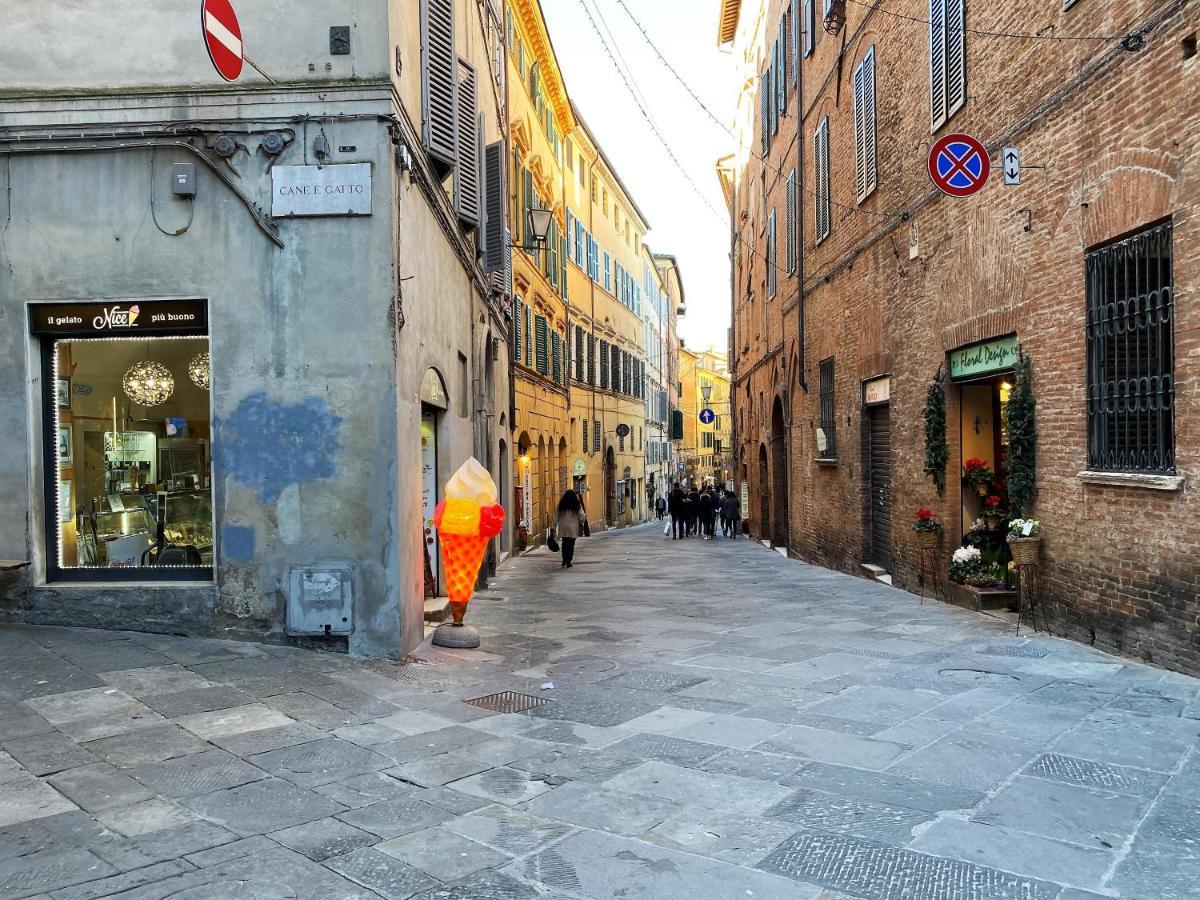 Il Mondo Di Claire - Cozy And Charm 锡耶纳 外观 照片