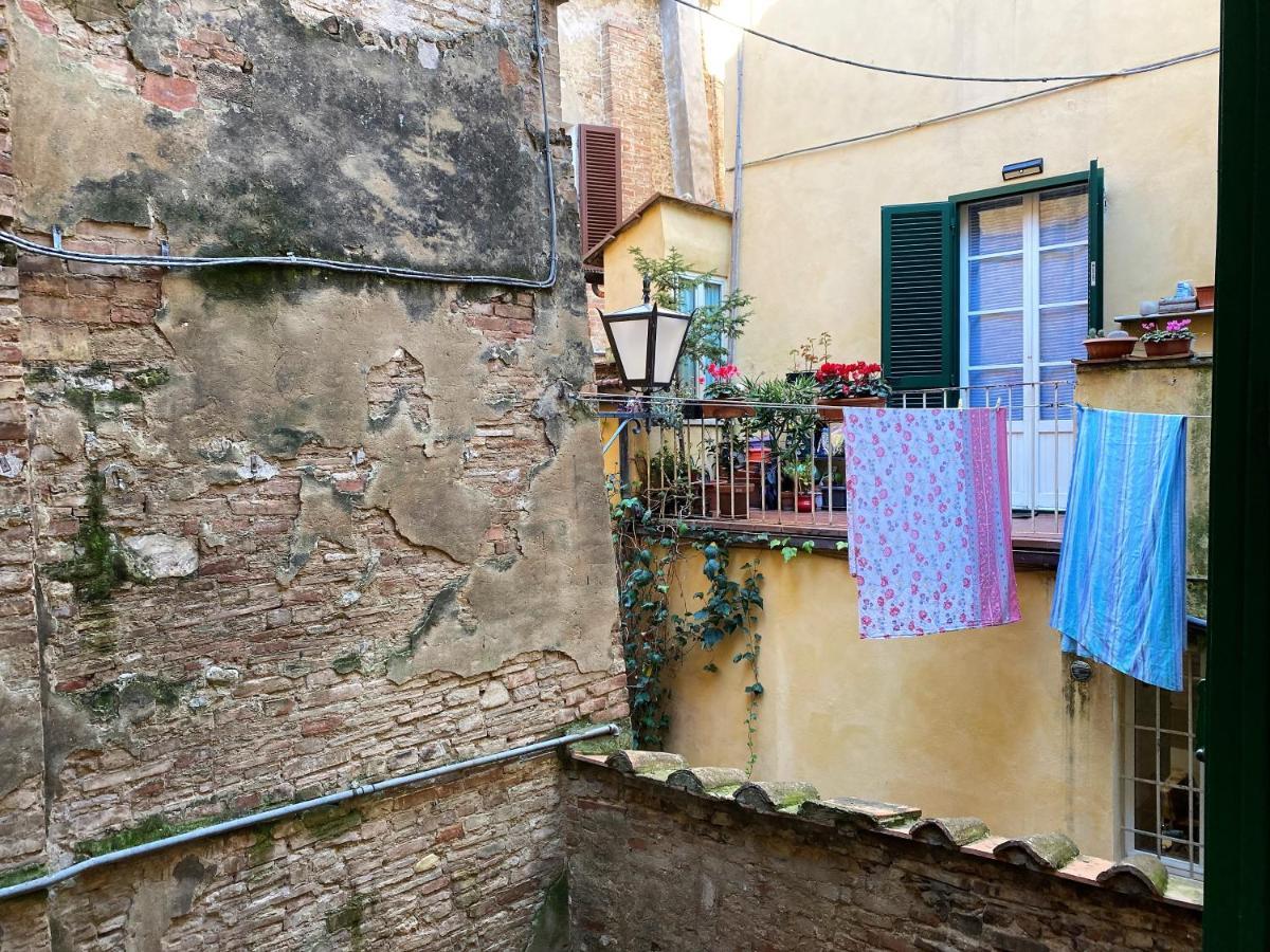 Il Mondo Di Claire - Cozy And Charm 锡耶纳 外观 照片